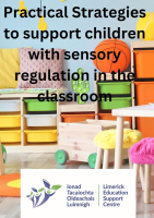 Practical Strategies to support children with sensory regulation in the classroom 