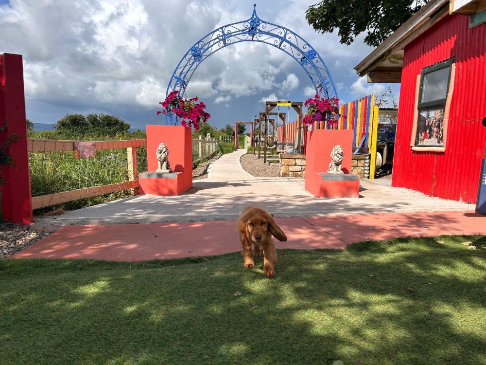 35787840 b5cc 4d79 87ed 6272b98b67f0