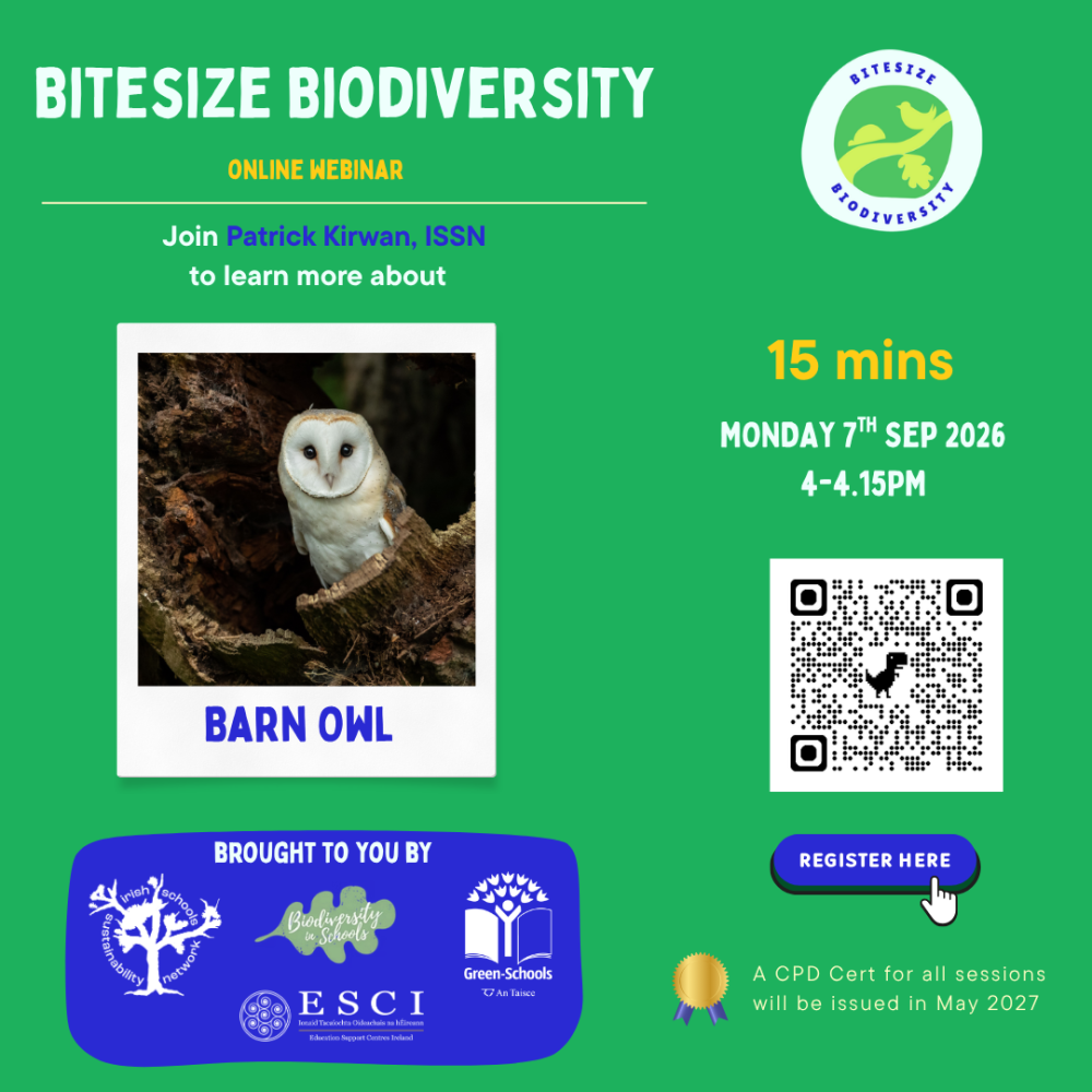 bitesize barn owl sep 7th 2026