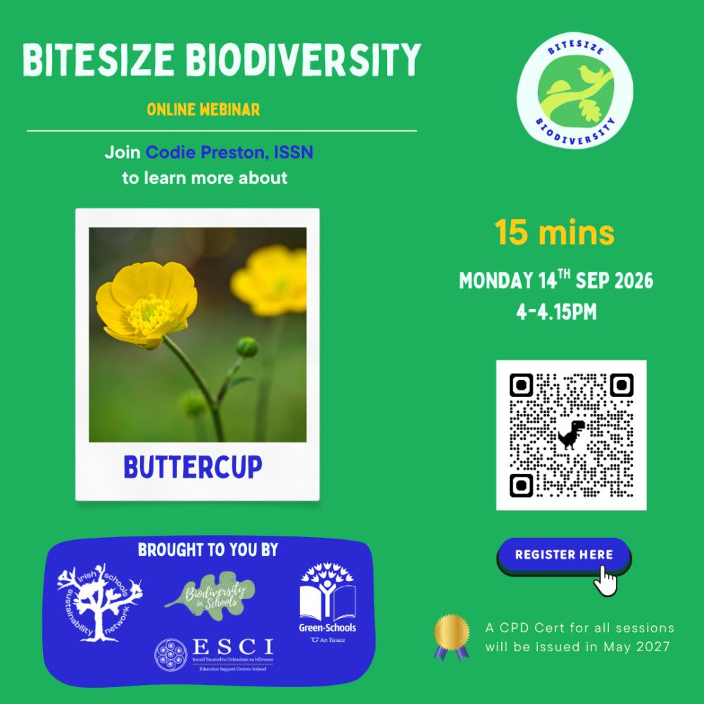 bitesize buttercup sep 14th 2026 1