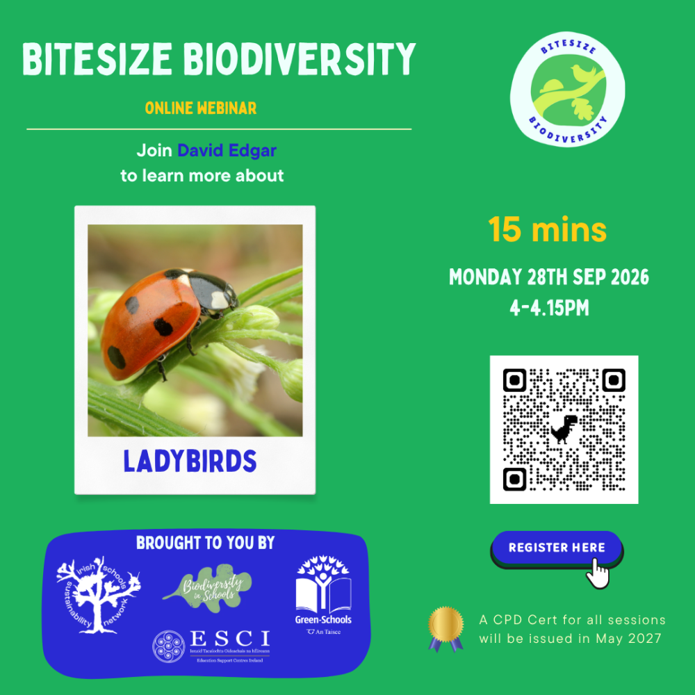 bitesize ladybirds sep 28th 2026 1