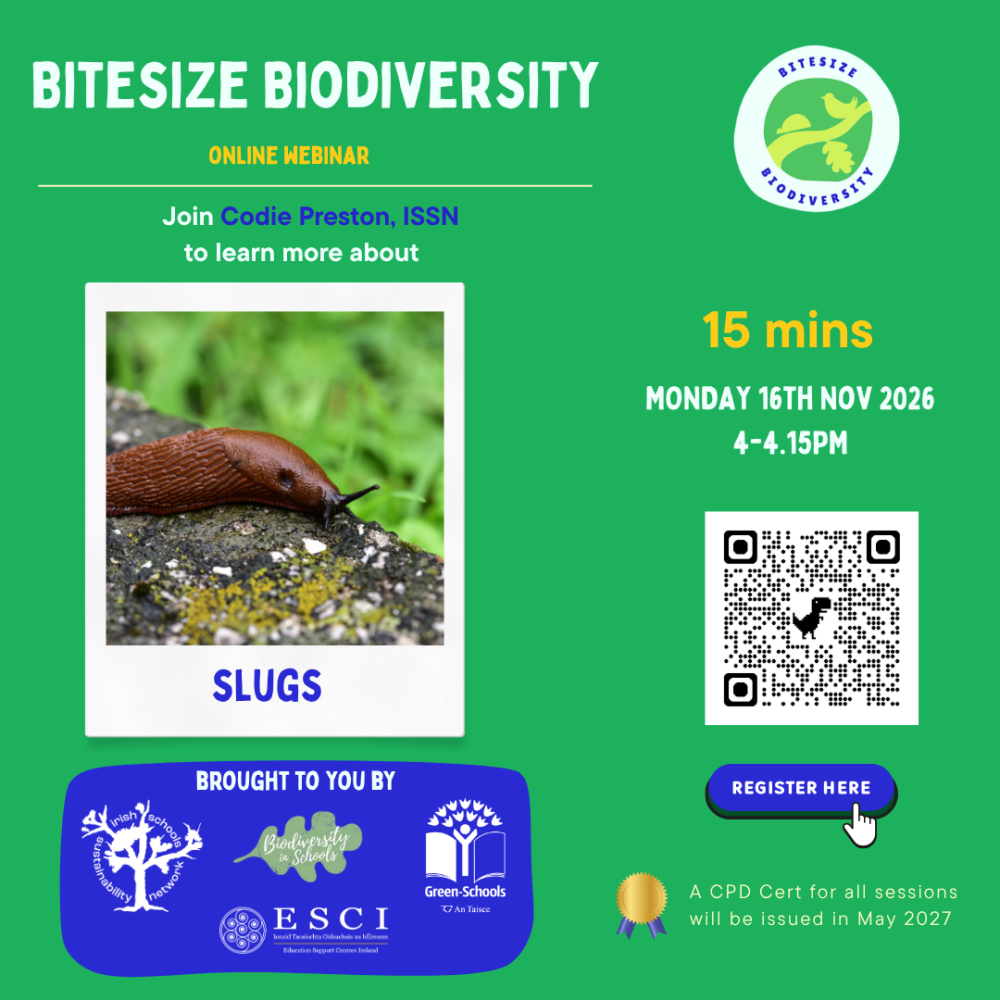 bitesize slugs nov 16th 2026 1