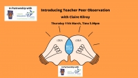 Introducing Teacher Peer Observation