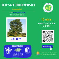 Bitesize Biodiversity 
