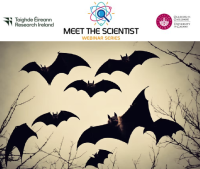 Meet the Scientist webinar series: Why are bats brilliant and how can they help us all?
