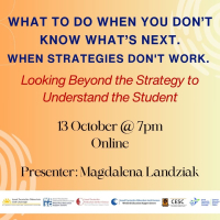 What To Do When You Don’t Know What’s Next. When Strategies Don't Work. Looking Beyond the Strategy to Understand the Student