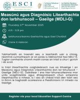 Measúnú agus Diagnóisic Litearthachta don Iarbhunscoil