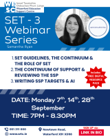 SET Guidelines, the continuum and the role of SET