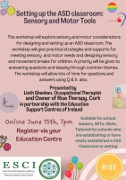 ESCI Webinar - Setting up the ASD classroom: Sensory and Motor Tools