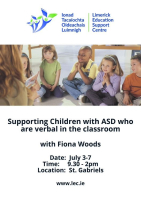 Supporting Children with ASD who are Verbal in the classroom