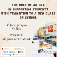 The Role of an SNA in Supporting Students with Transition to a New Class or School