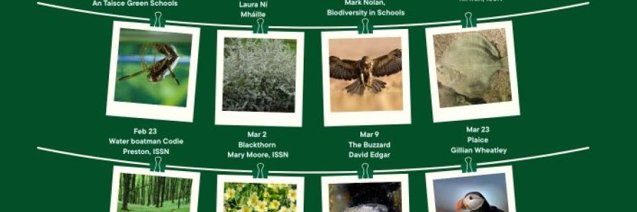 Bitesize Biodiversity! Spring schedule
